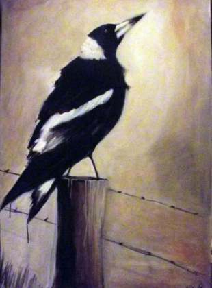Magpie King