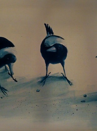 Magpies - Kylievantol paintings