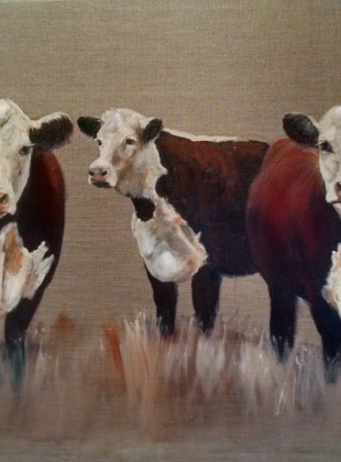Trio of Herefords