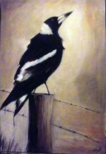 Magpie King_2