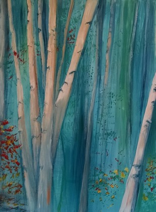 Birch Trees