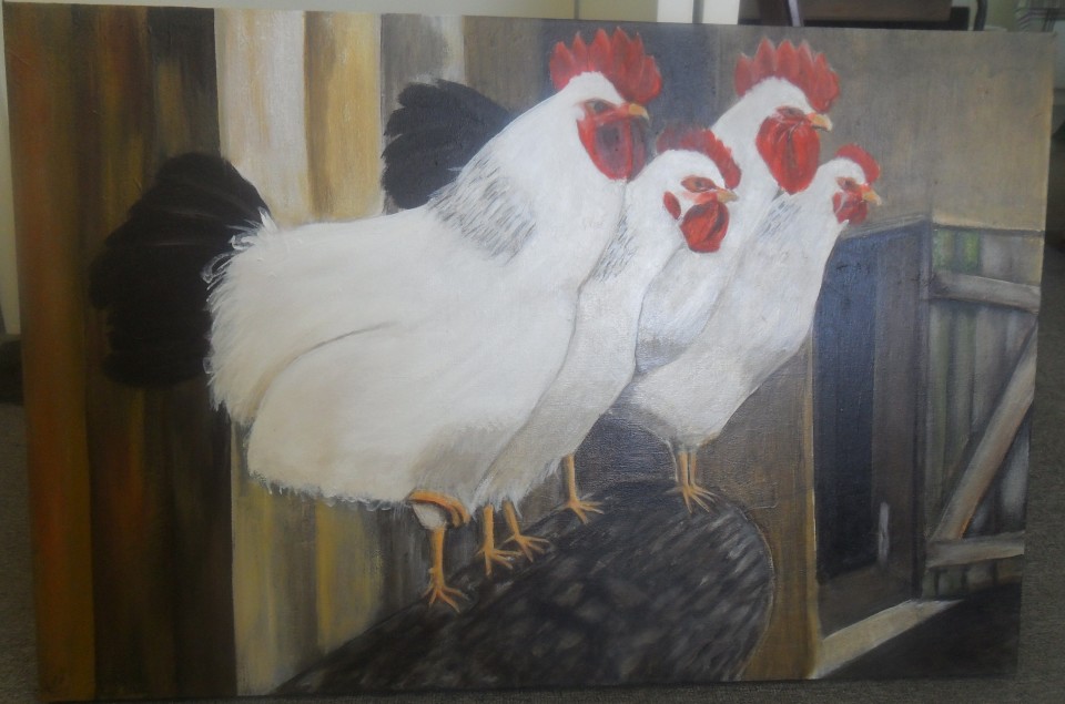 CLUCKY CHICKENS
