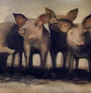 Pigs In Mud