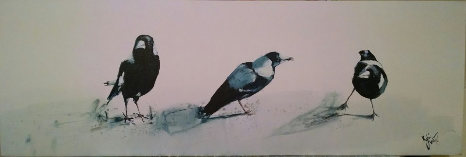 Magpies in the sun