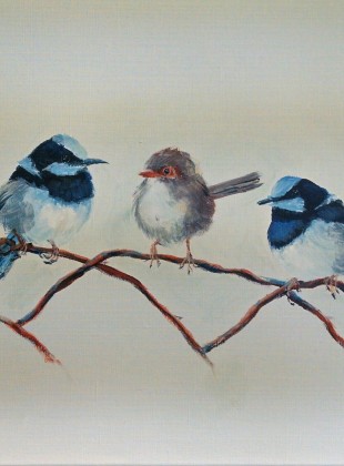 Wrens on a wire