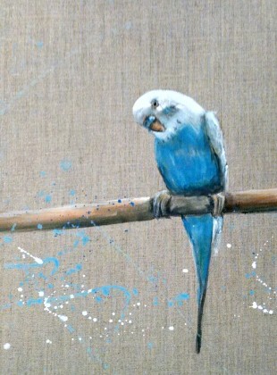 Blue wren - Kylievantol paintings
