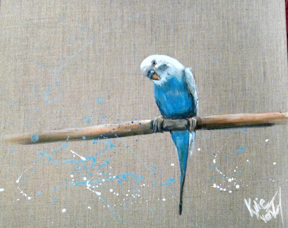 Blue wren - Kylievantol paintings