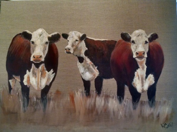 Trio of Herefords