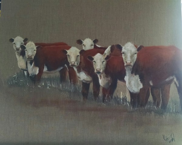 "curious cows" acrylic on canvas size 60cm x 76cm $520