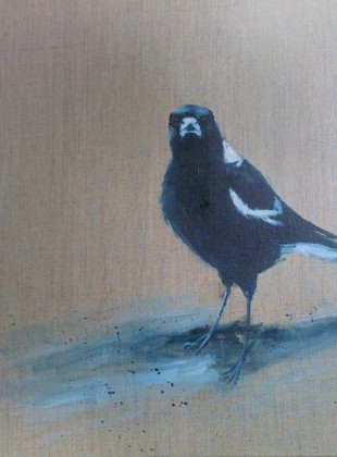 Here-I-am-magpie