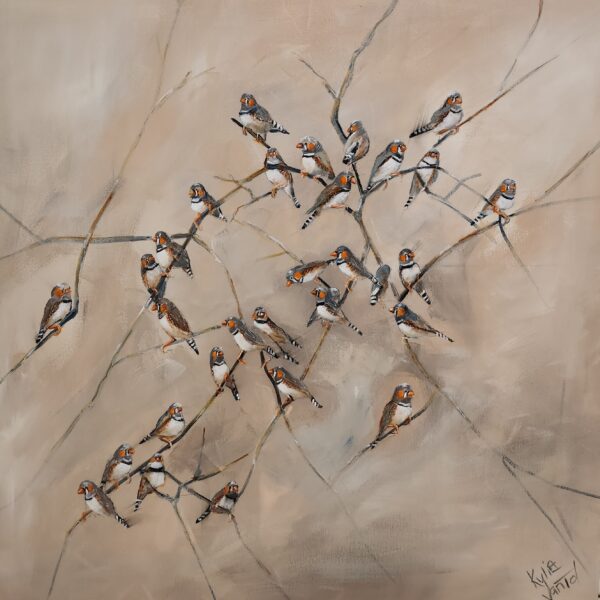 Zebra finches