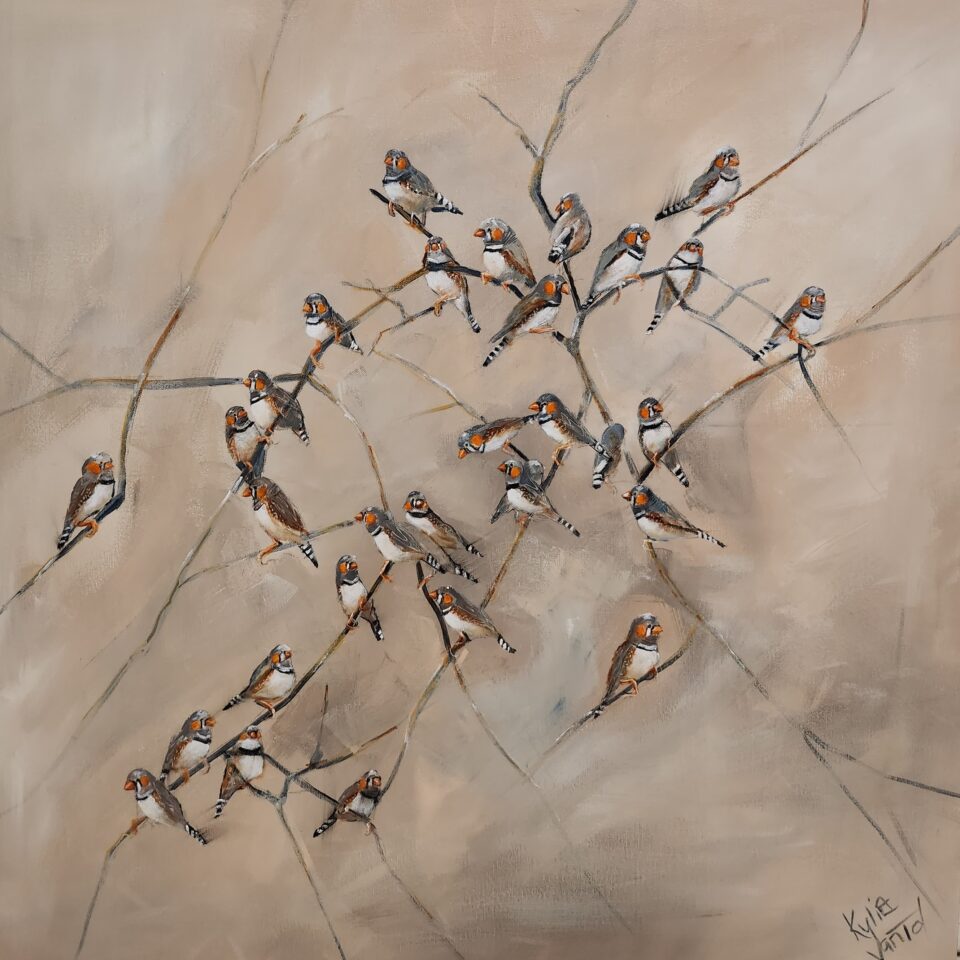 Zebra finches