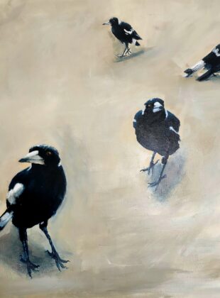 Magpie family